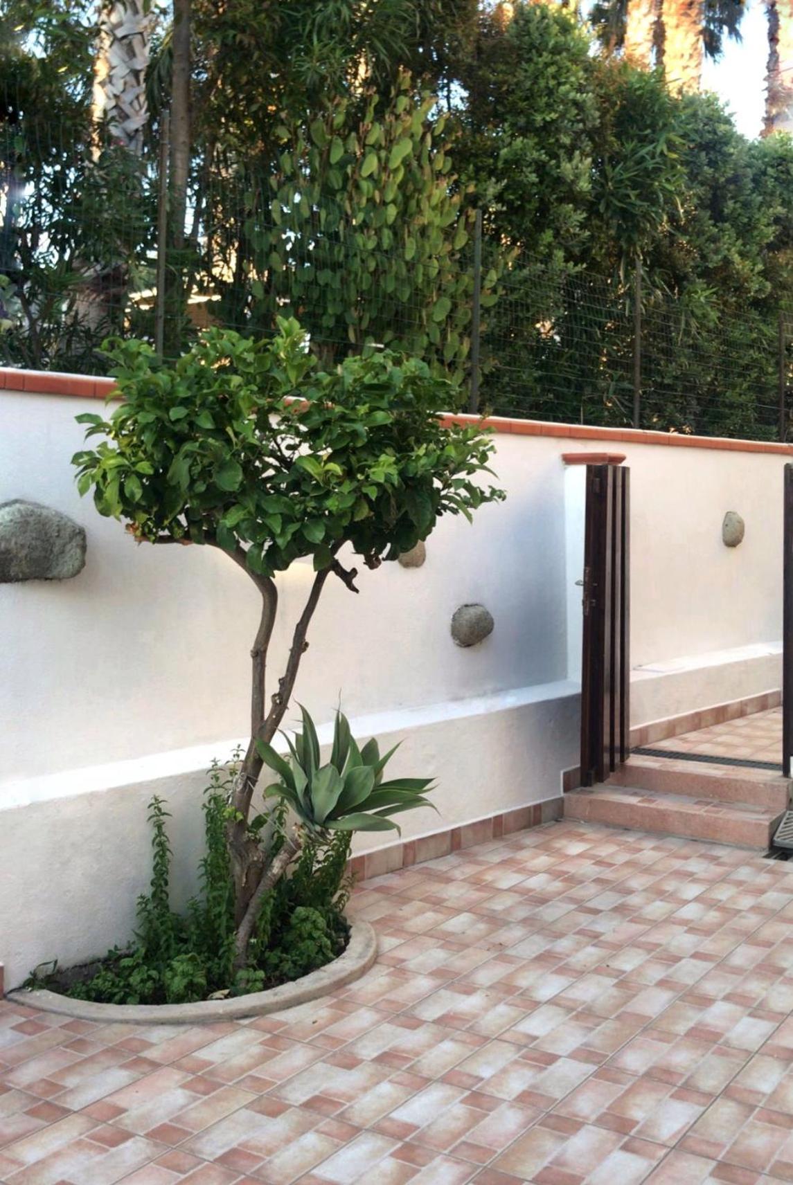 La Turrita Apartments Forio  Ngoại thất bức ảnh
